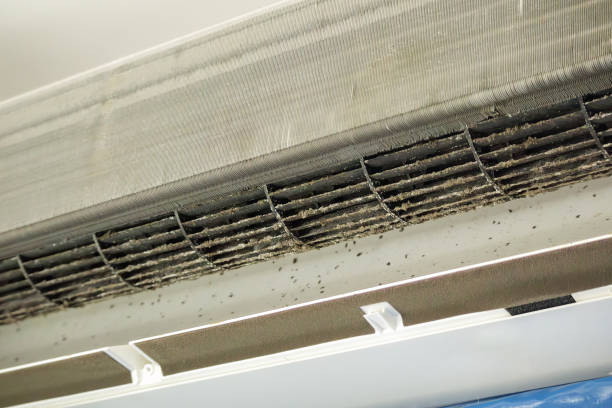 Best Air Duct Cleaning Near Me  in Mont Clare, PA